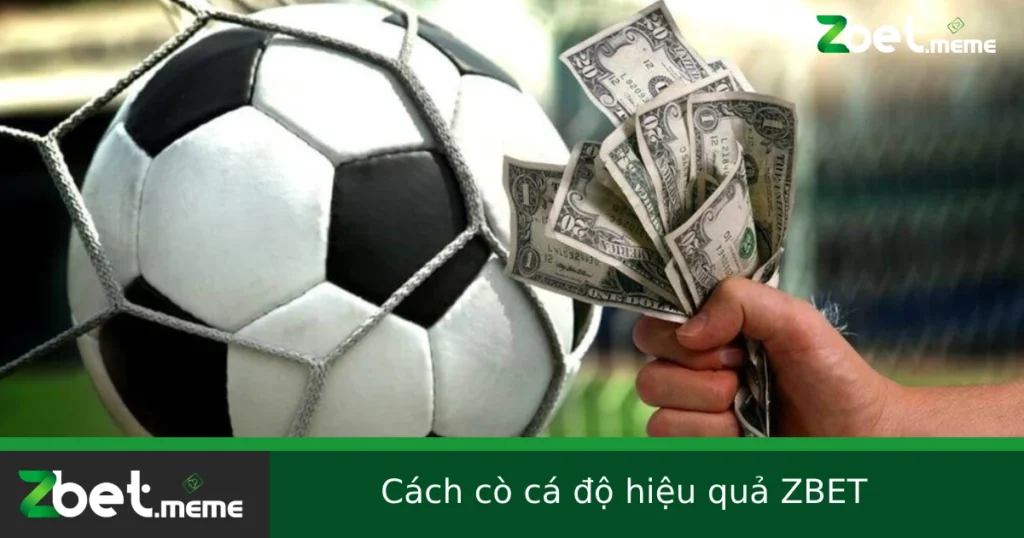 Cách Cò Cá Độ Hiệu Quả Tại Zbet Như Thế Nào Để An Toàn?