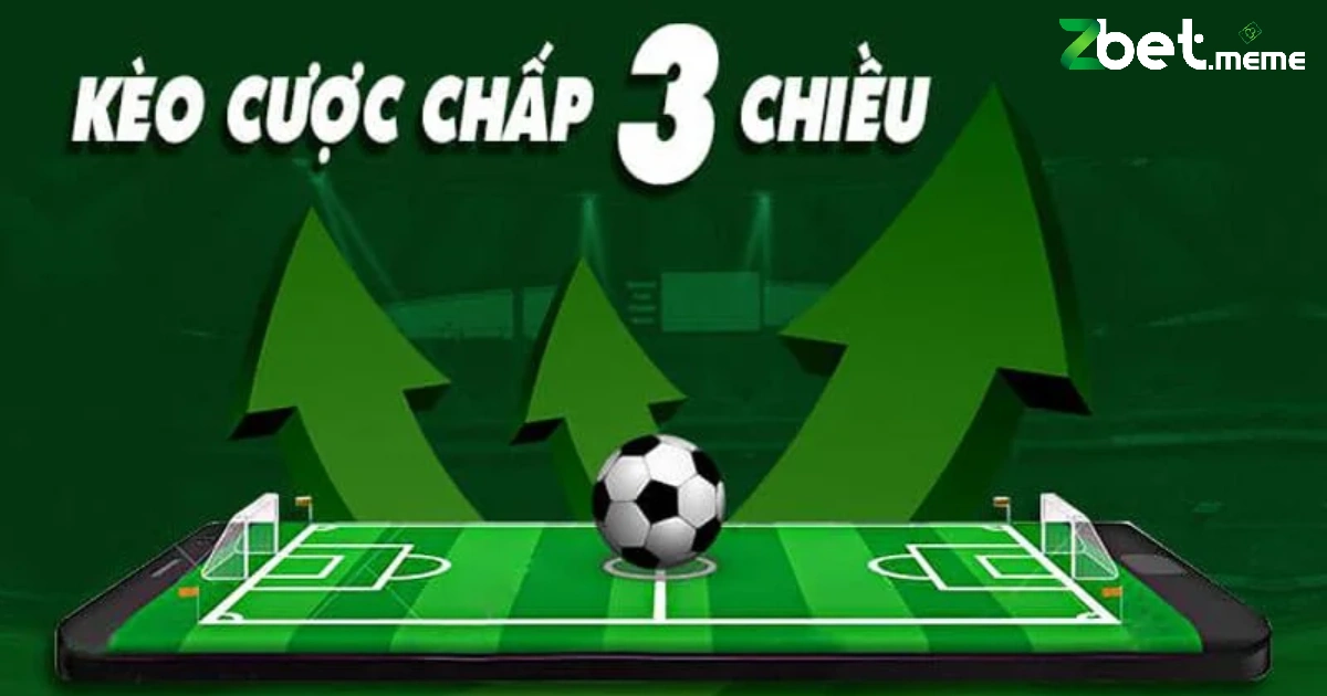 Người chơi cần hiểu rõ từng phương án cược có trong cược chấp 3 chiều